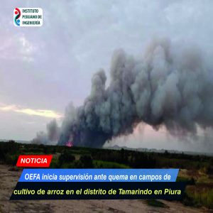 OEFA inicia supervisión ante quema en campos de cultivo de arroz en el distrito de Tamarindo en Piura